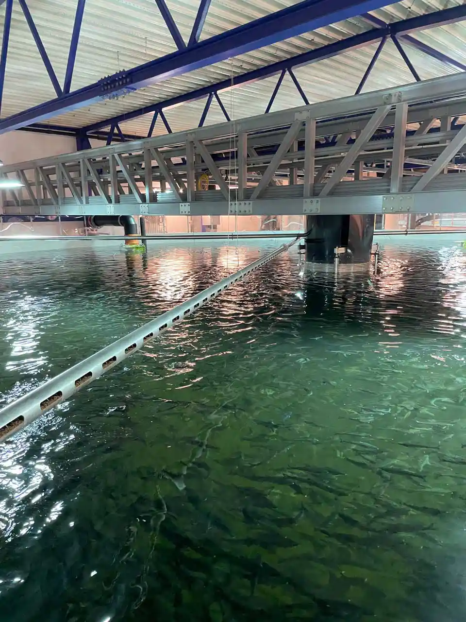 Referansebilde fra prosjekt mellom Mowi og Aquateknikk